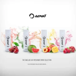 Aensō SMELLIKE Lufterfrischer POLARIS 500ml